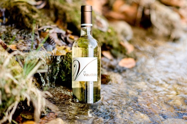 Blanc – V de Vaudois 2025, cuvée du Château Vaudois